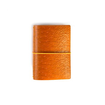 Elizabeth  - TN Ochre
