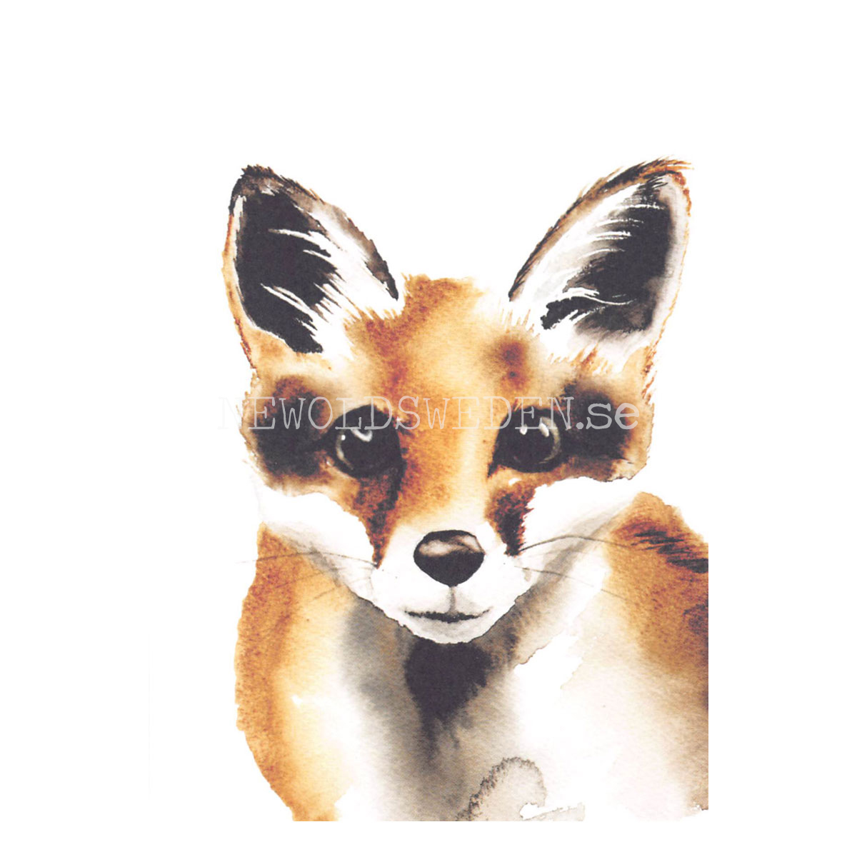 Fox - Henna Adel Postcard No: 1 - 340 - 3