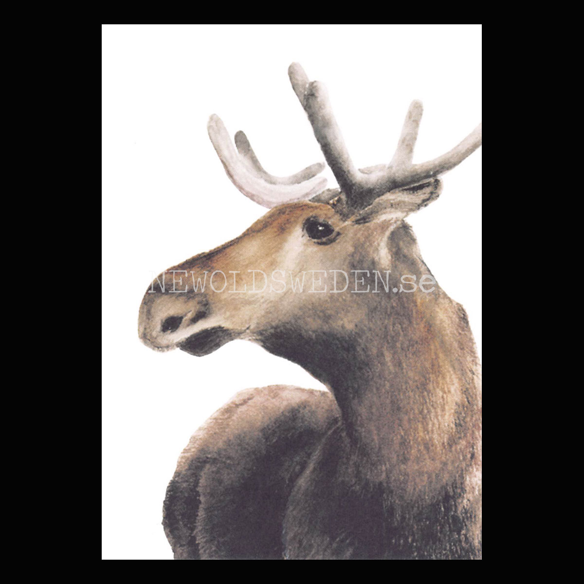 Moose - Henna Adel Postcard No: 10 - 340
