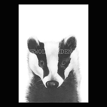 Badger - Henna Adel Postcard No: 11 - 340