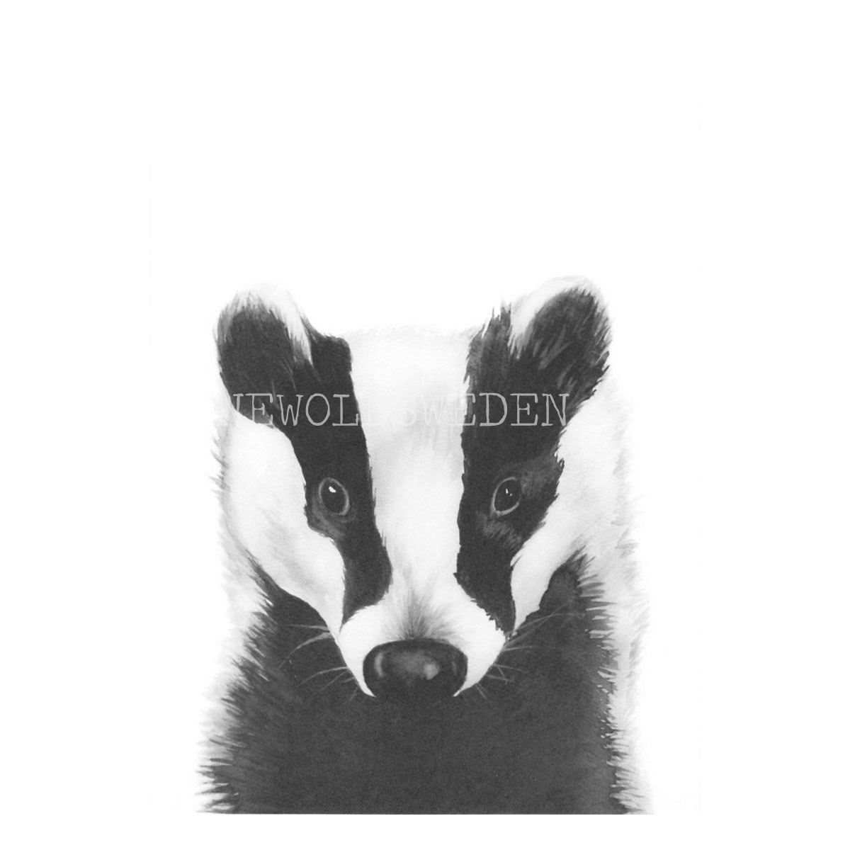 Badger - Henna Adel Postcard No: 11 - 340 - 3