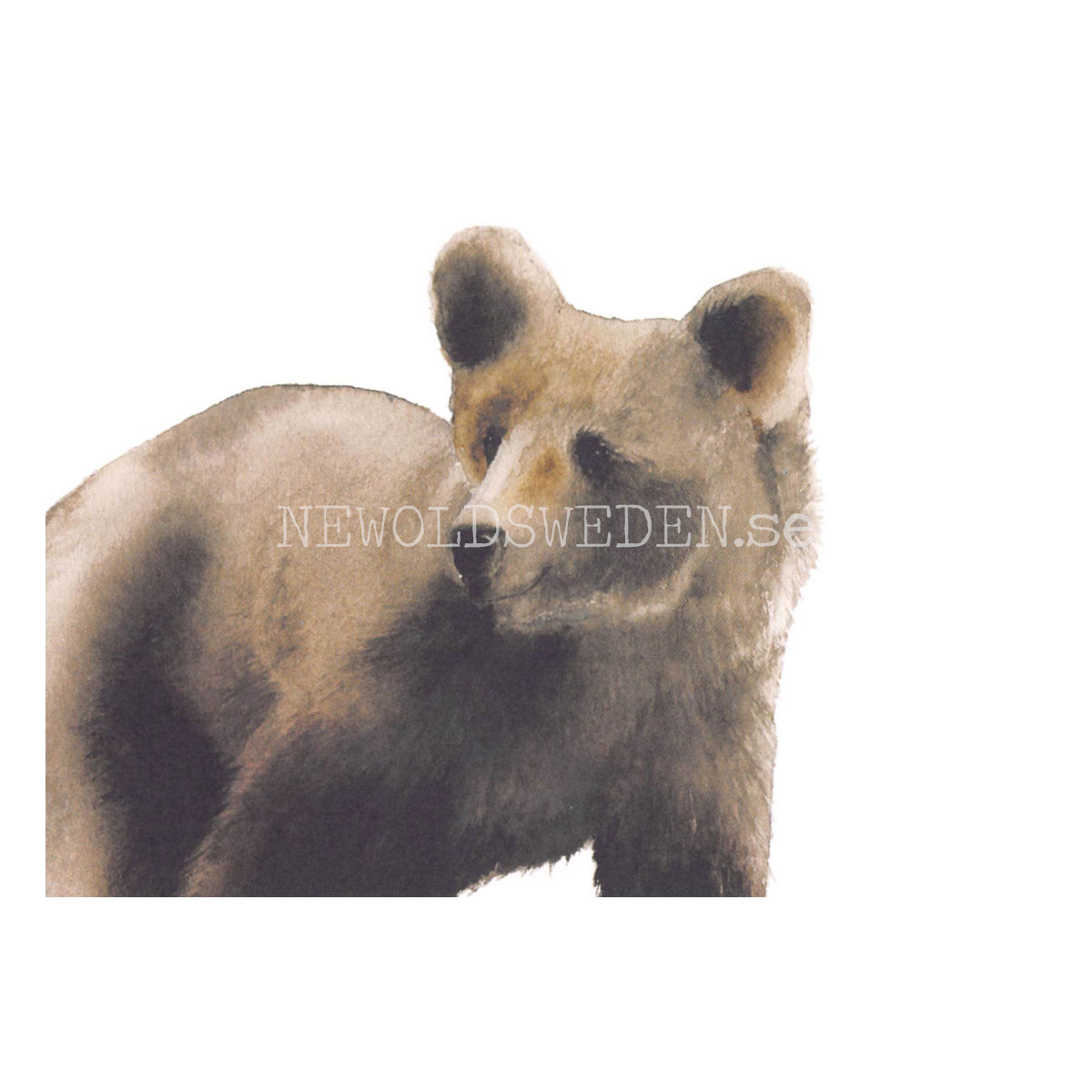 Bear - Henna Adel Postcard No: 12 - 340 - 3