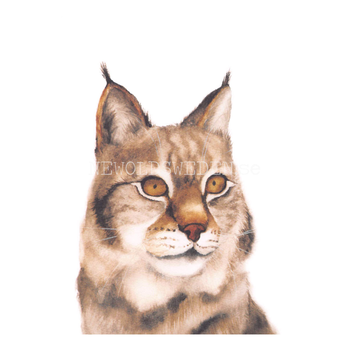 Lynx - Henna Adel Postcard No: 13 - 340 - 3