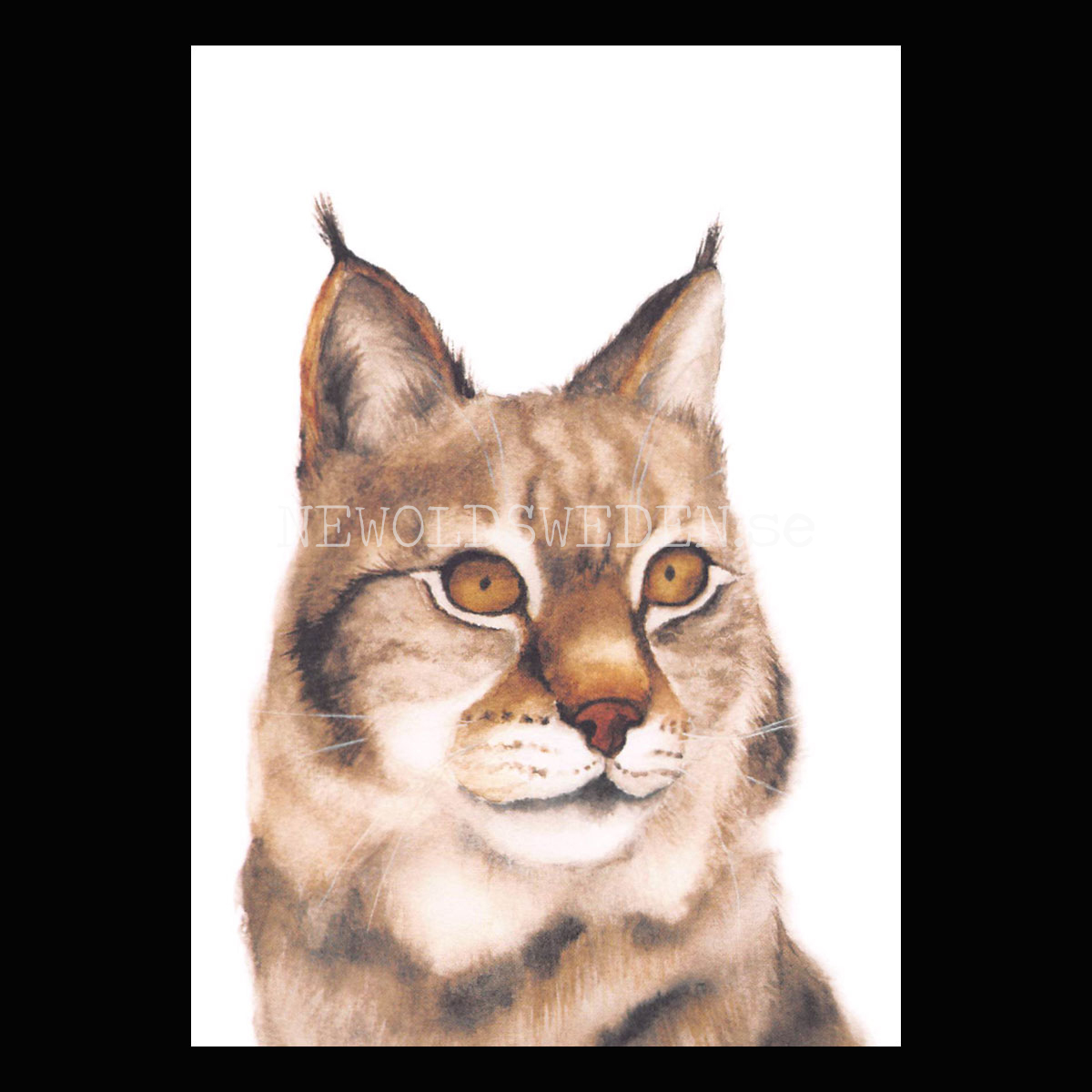 Lynx - Henna Adel Postcard No: 13 - 340