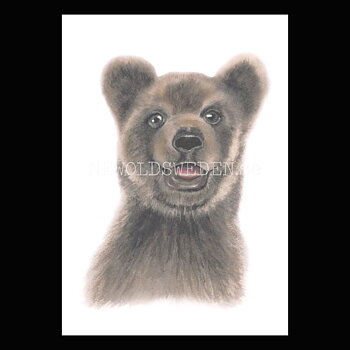 Bear cub - Henna Adel Postcard No: 14 - 340