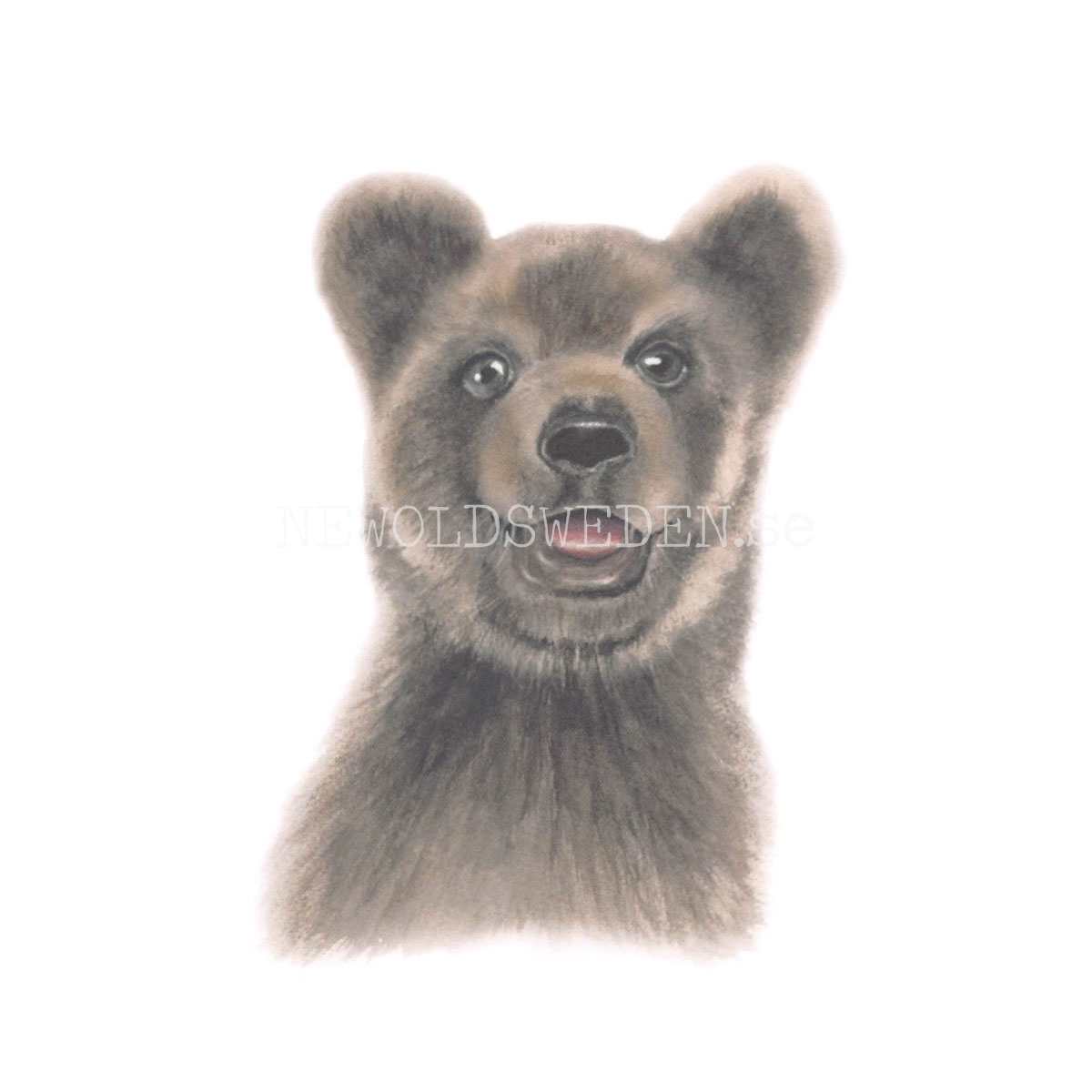 Bear cub - Henna Adel Postcard No: 14 - 340 - 3