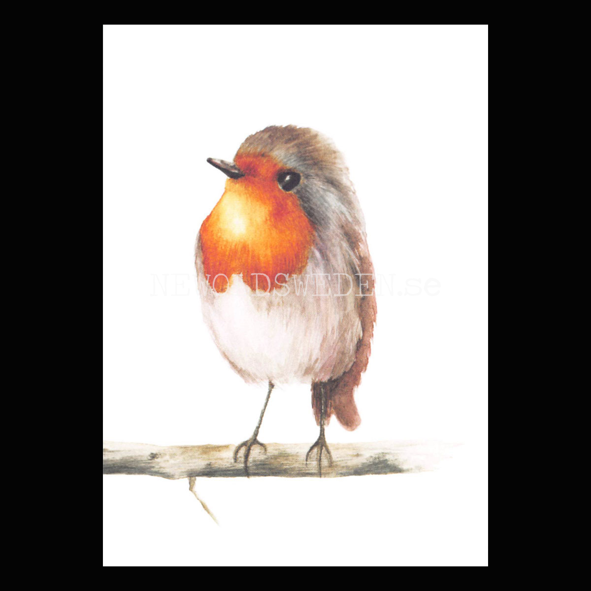 Bird - Henna Adel Postcard No: 5 - 340