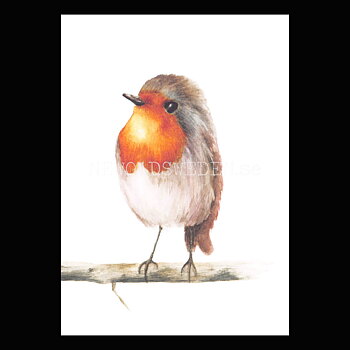 Bird - Henna Adel Postcard No: 5 - 340