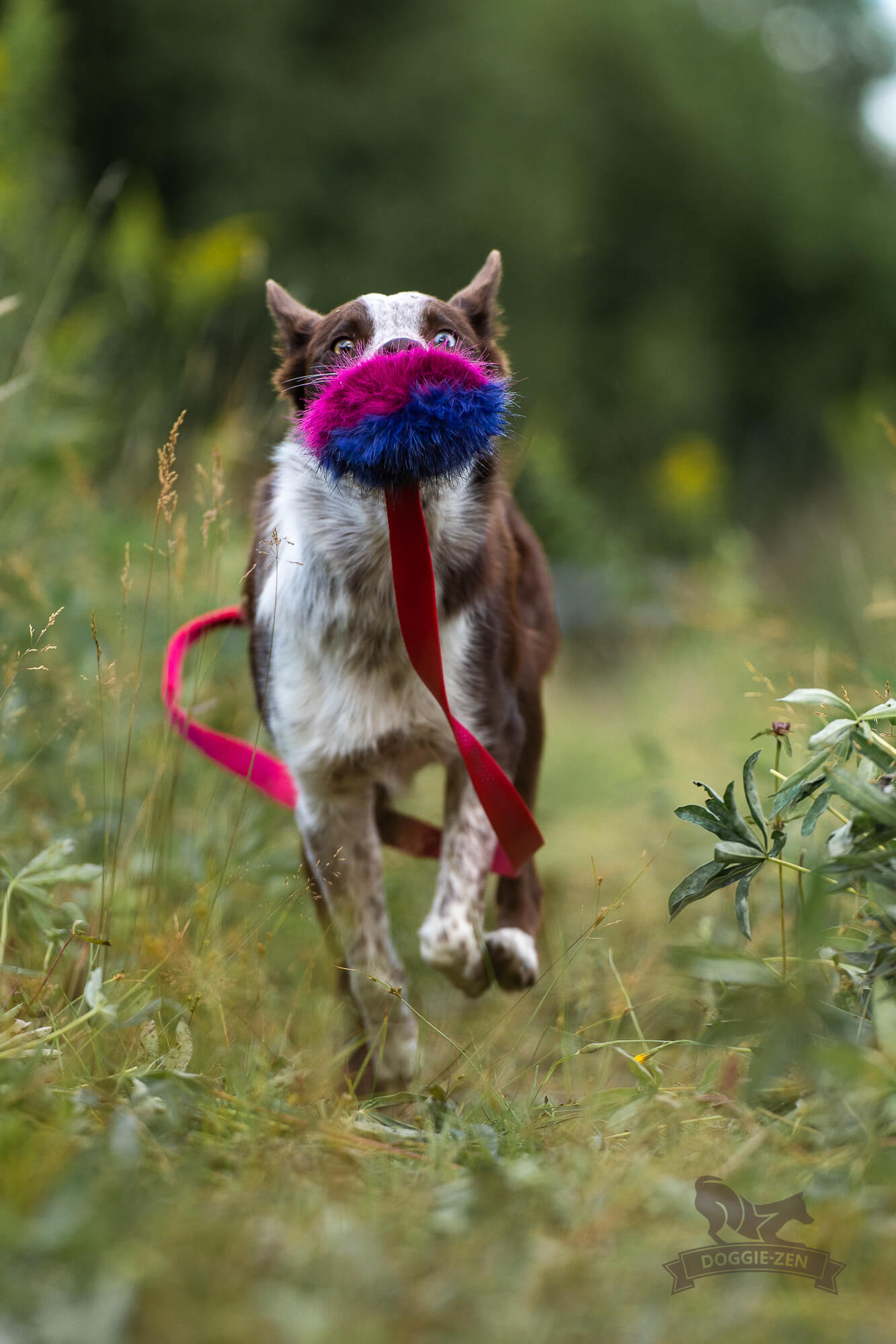 Fake Fur Squeaker Chaser L - 4