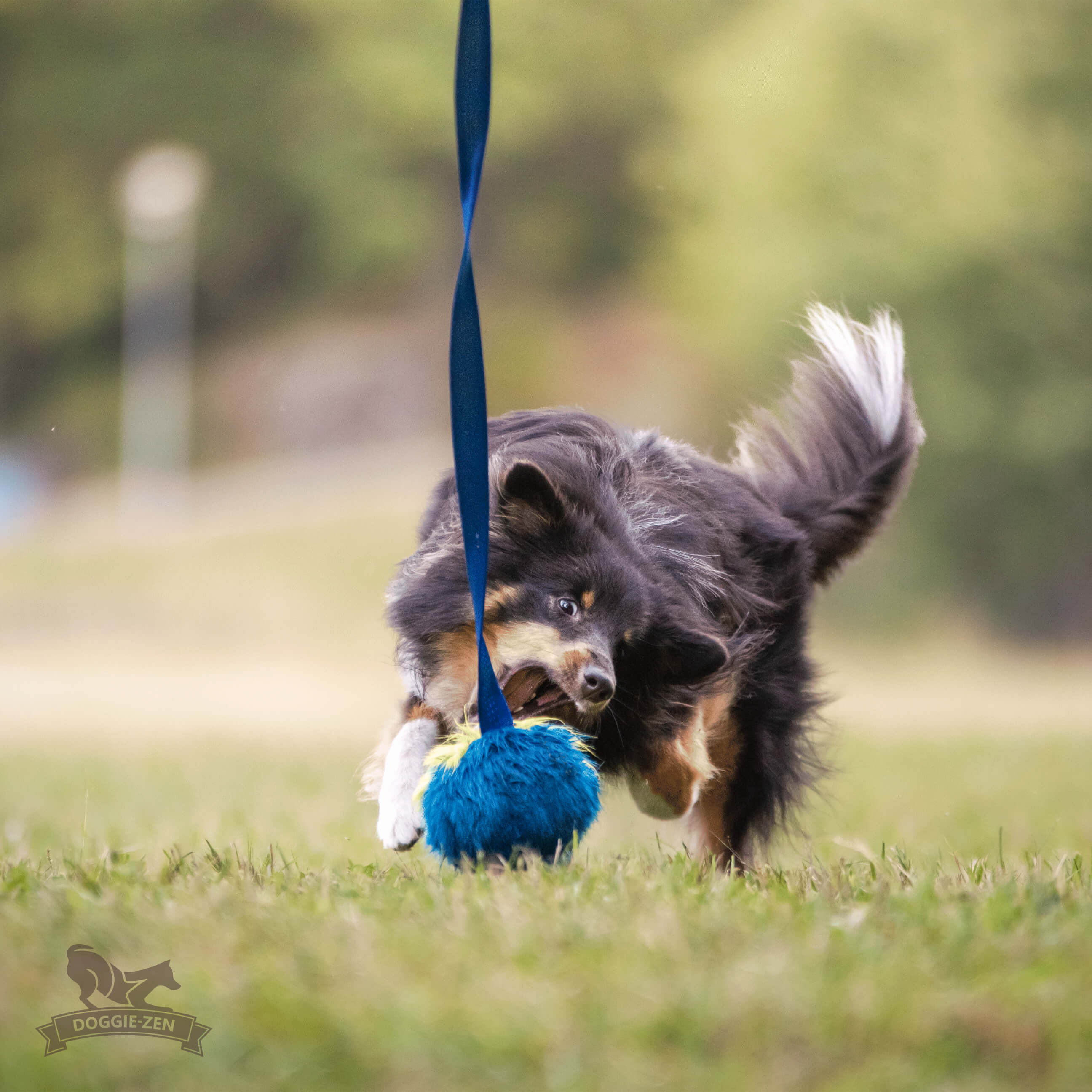 Fake Fur Squeaker Chaser L - 9