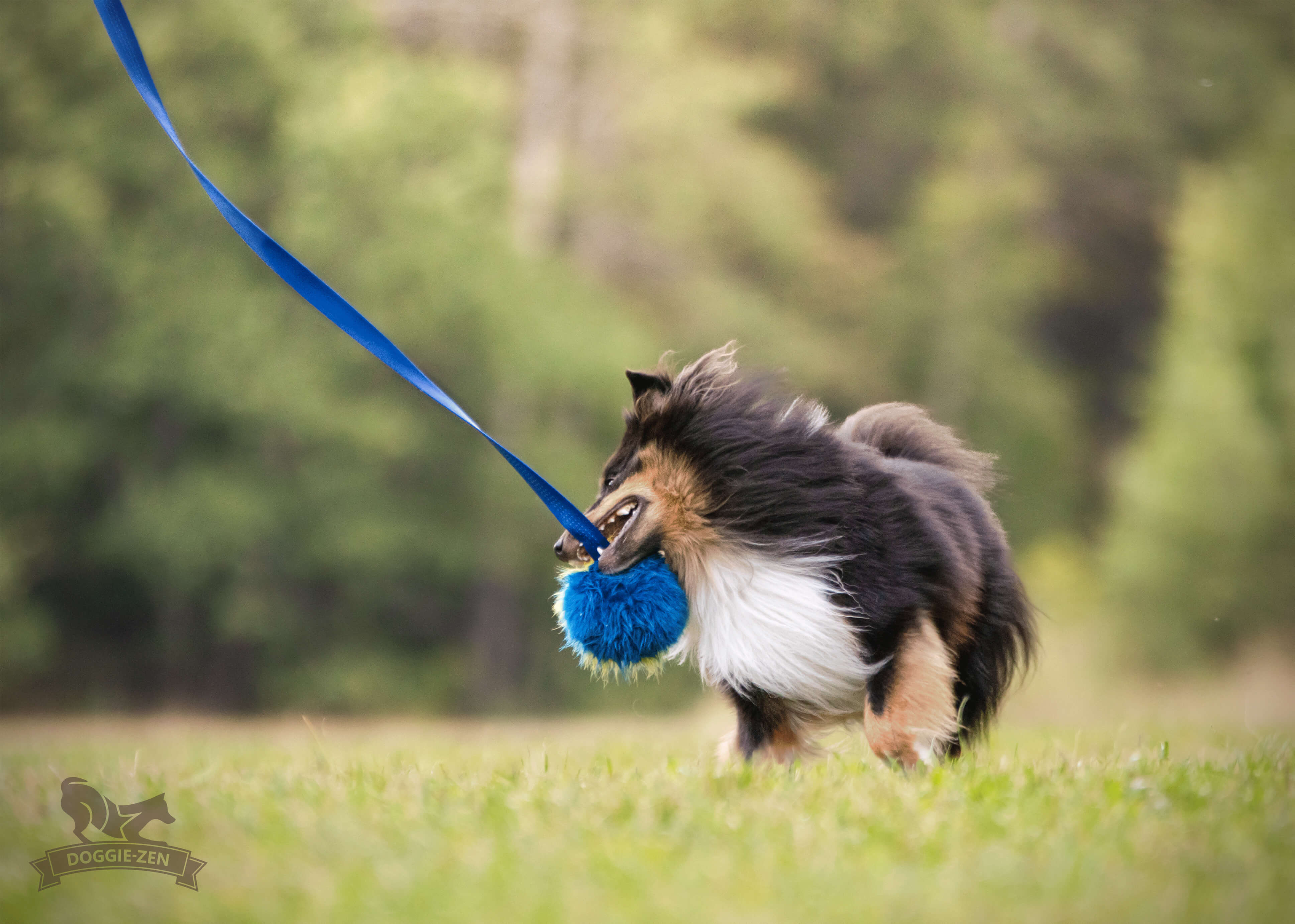 Fake Fur Squeaker Chaser L - 10
