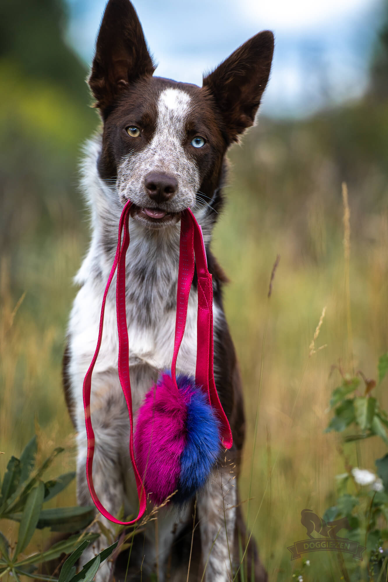 Fake Fur Squeaker Chaser L - 3