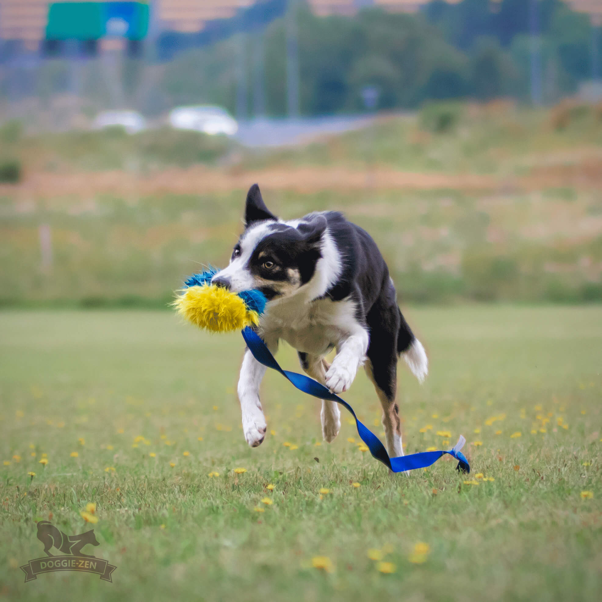 Fake Fur Squeaker Chaser L - 5