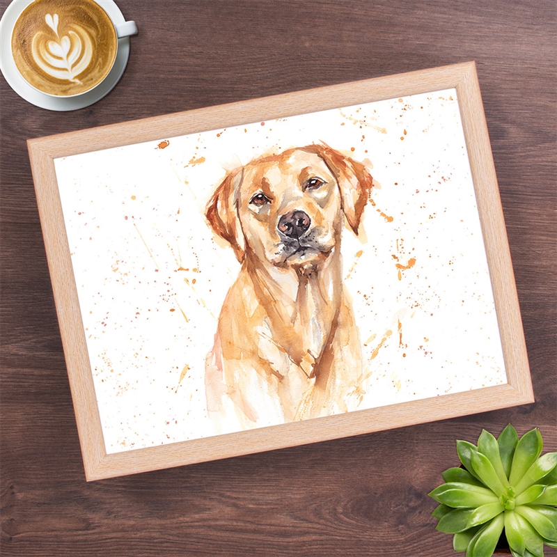 Knäbricka gul Labrador