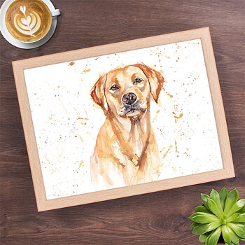 Knäbricka gul Labrador