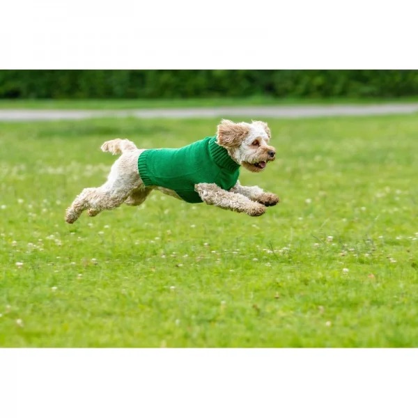 Chiara Ellie Pullover Green - 3