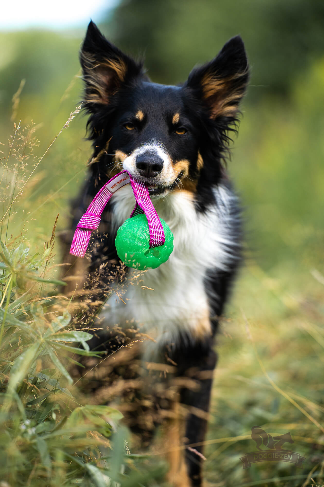 Sure Grip Funball Tug