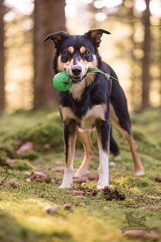 Sure Grip Funball Tug