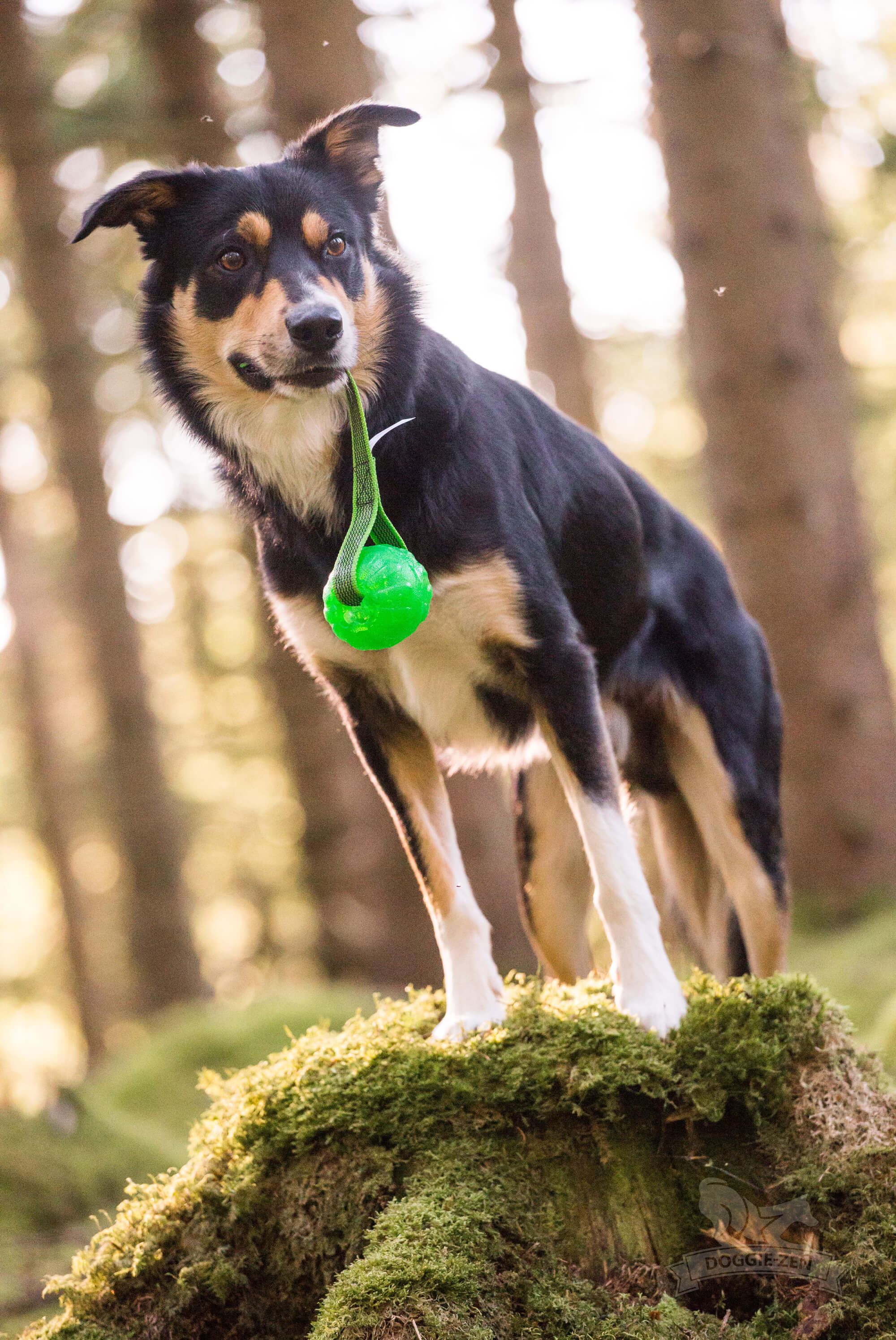 Sure Grip Funball Tug - 5