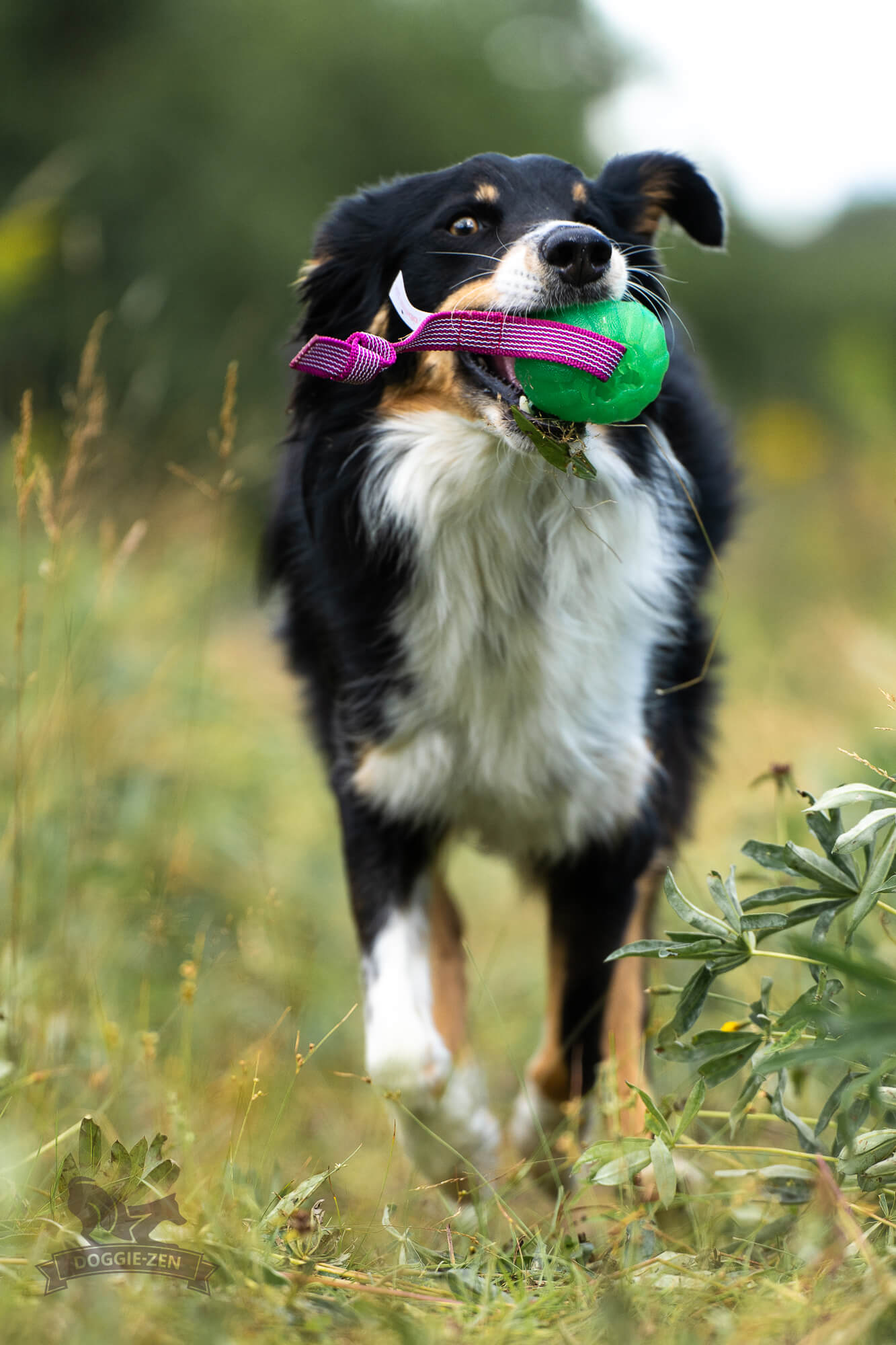 Sure Grip Funball Tug - 6