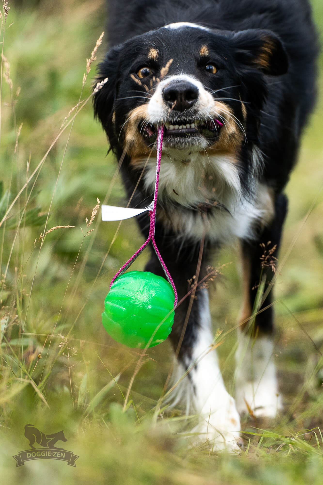 Sure Grip Funball Tug - 4