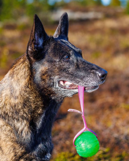Sure Grip Funball Tug - 3