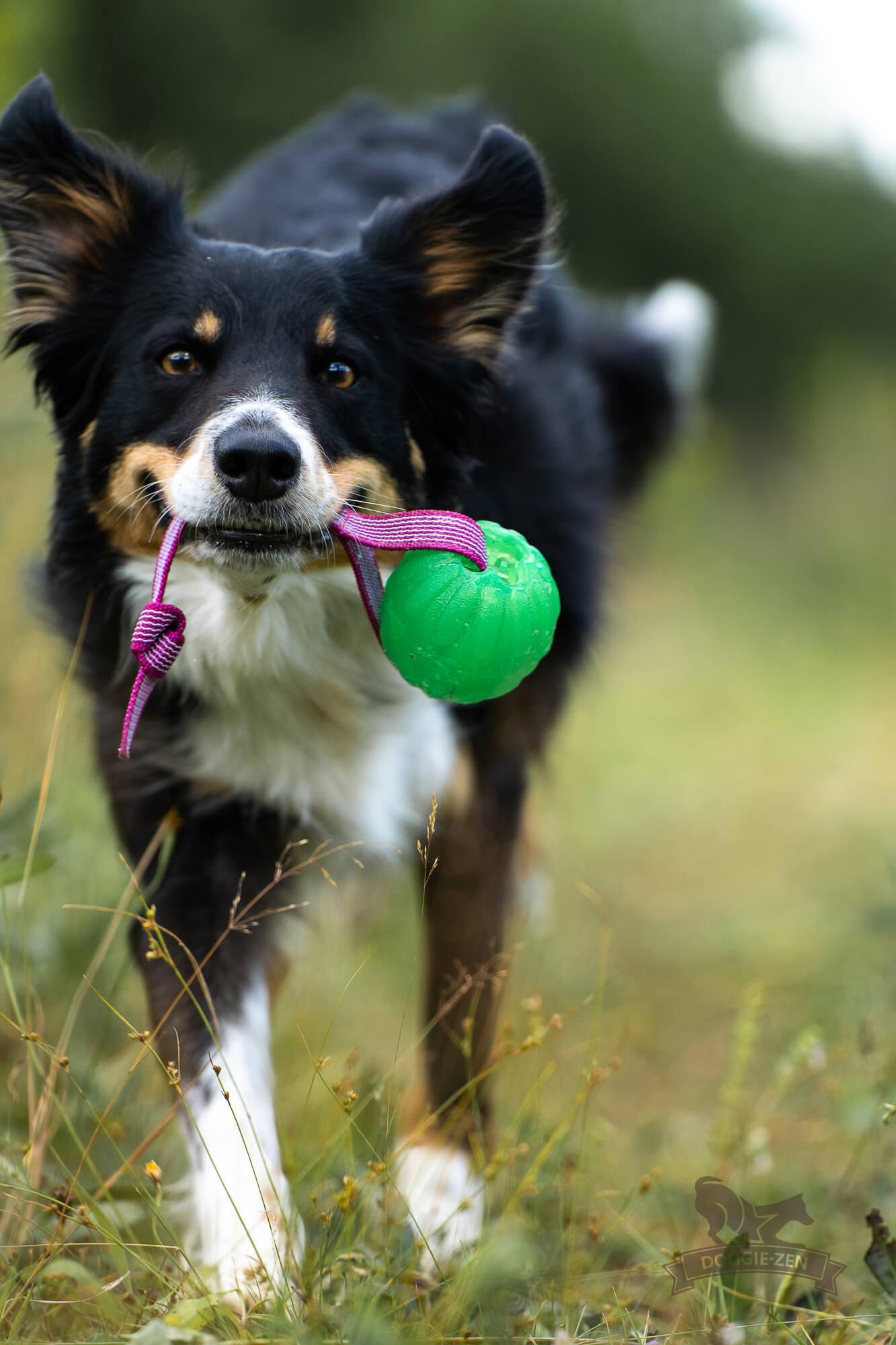Sure Grip Funball Tug - 7