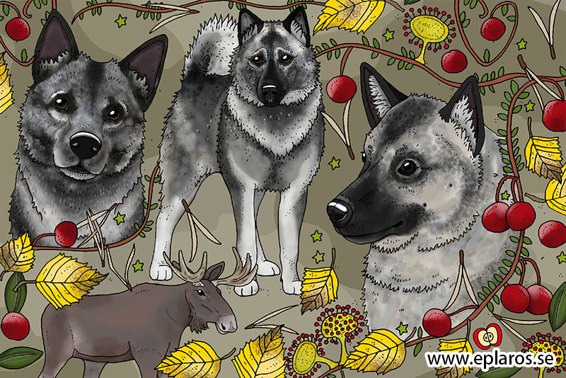 Vykort 10x15 cm Gråhundsmyren