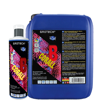 Grotech Corall B