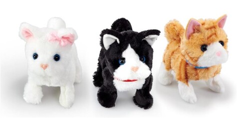 Happy Pets Pretty Little Kitty - 2