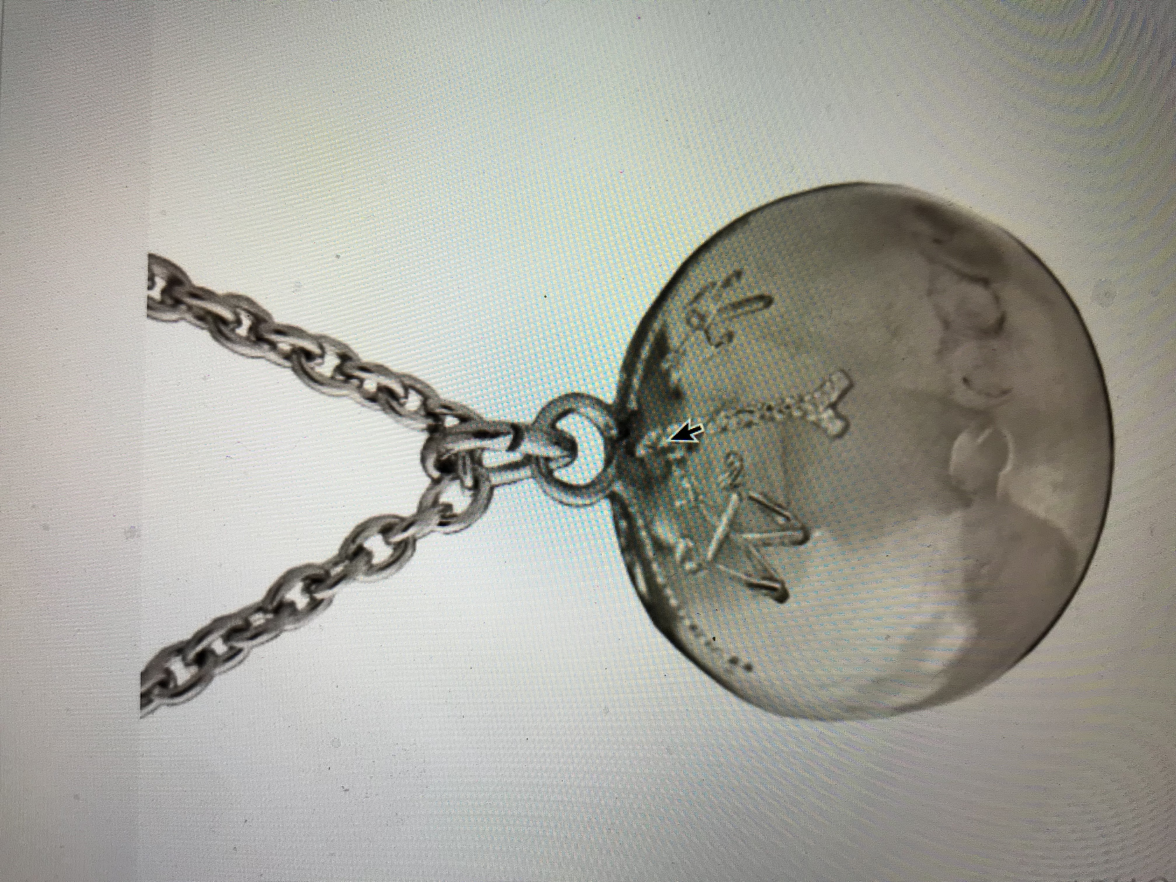 Halsband Lyckokula stor XL Tenn
