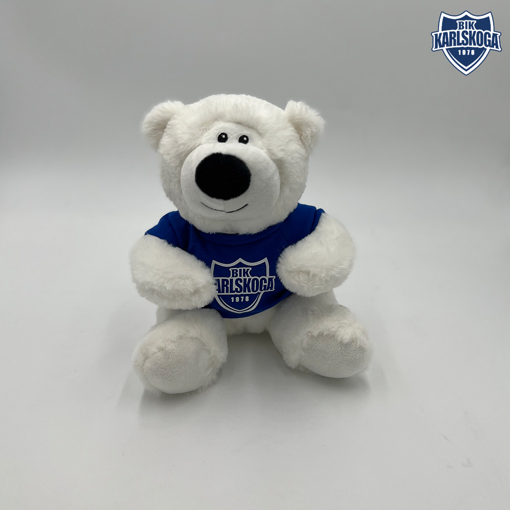 Isbjörn med tröja / Nalle