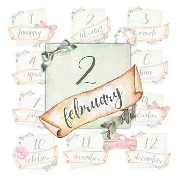 MAGNOLIA  -POP UP! 12 Month's of Christmas | February