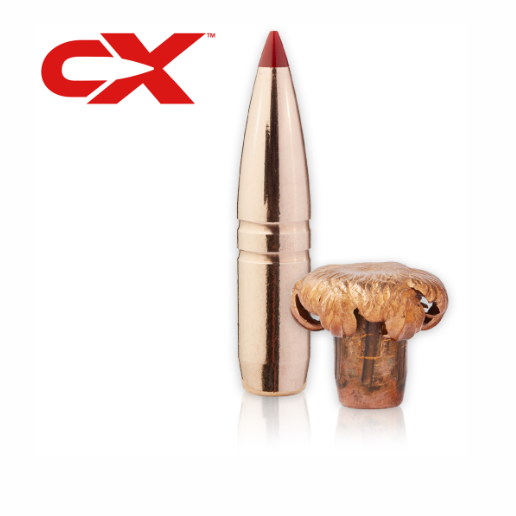 Hornady 308 WIN Outfitter, 165 Grain CX