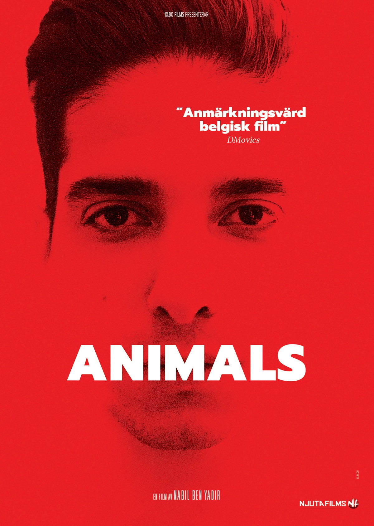 Animals