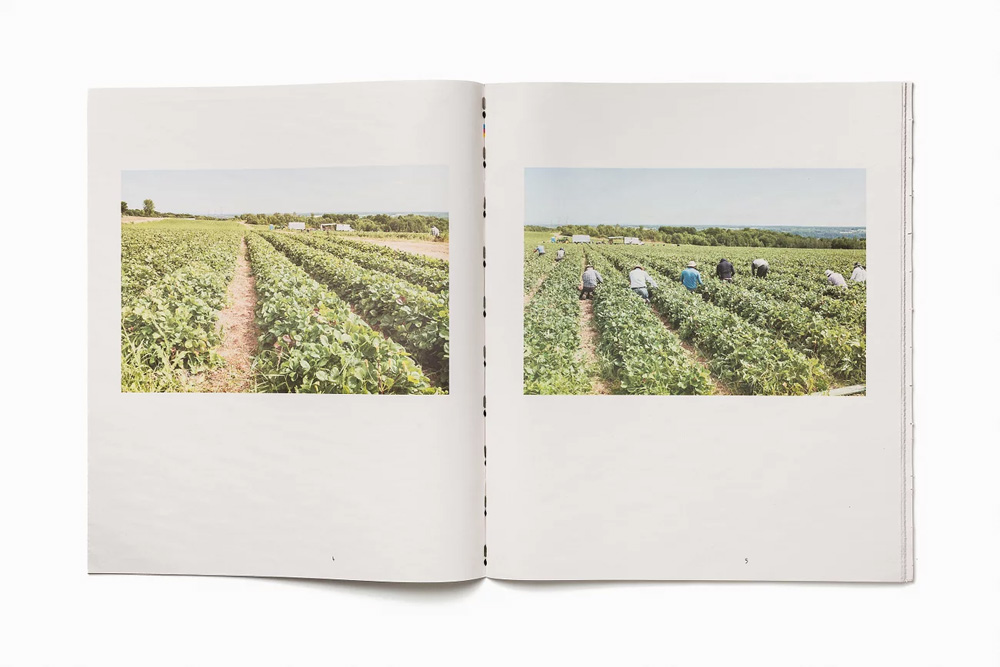 Drew Waters: Shelf Life - 3
