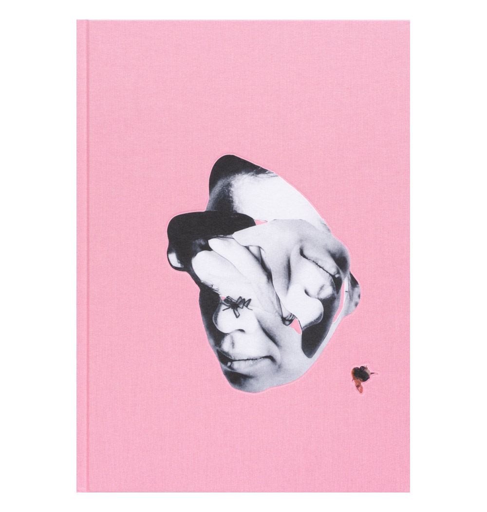 Katinka Goldberg: Bristningar/Rupture