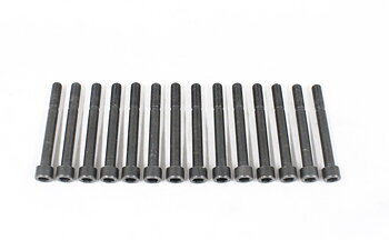 Bolt kit, cylinder head (D24) M11