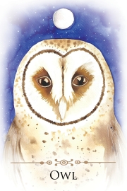 SPIRIT ANIMALS MESSAGE CARDS 70 Affirmation-Style Cards with Instructions For Use Dr. Steven Farmer , Tali Payne - 4