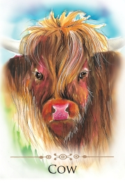 SPIRIT ANIMALS MESSAGE CARDS 70 Affirmation-Style Cards with Instructions For Use Dr. Steven Farmer , Tali Payne - 2