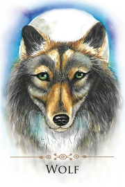 SPIRIT ANIMALS MESSAGE CARDS 70 Affirmation-Style Cards with Instructions For Use Dr. Steven Farmer , Tali Payne - 5