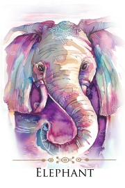 SPIRIT ANIMALS MESSAGE CARDS 70 Affirmation-Style Cards with Instructions For Use Dr. Steven Farmer , Tali Payne - 3