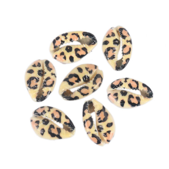 Charm  bead , snail conch  leopard - 2