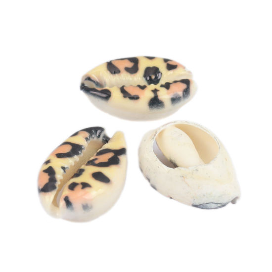 Charm  bead , snail conch  leopard