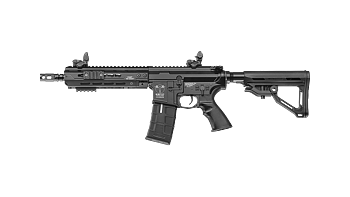 CXP-HOG MTR Stock-BK (Rear Wired) ICS