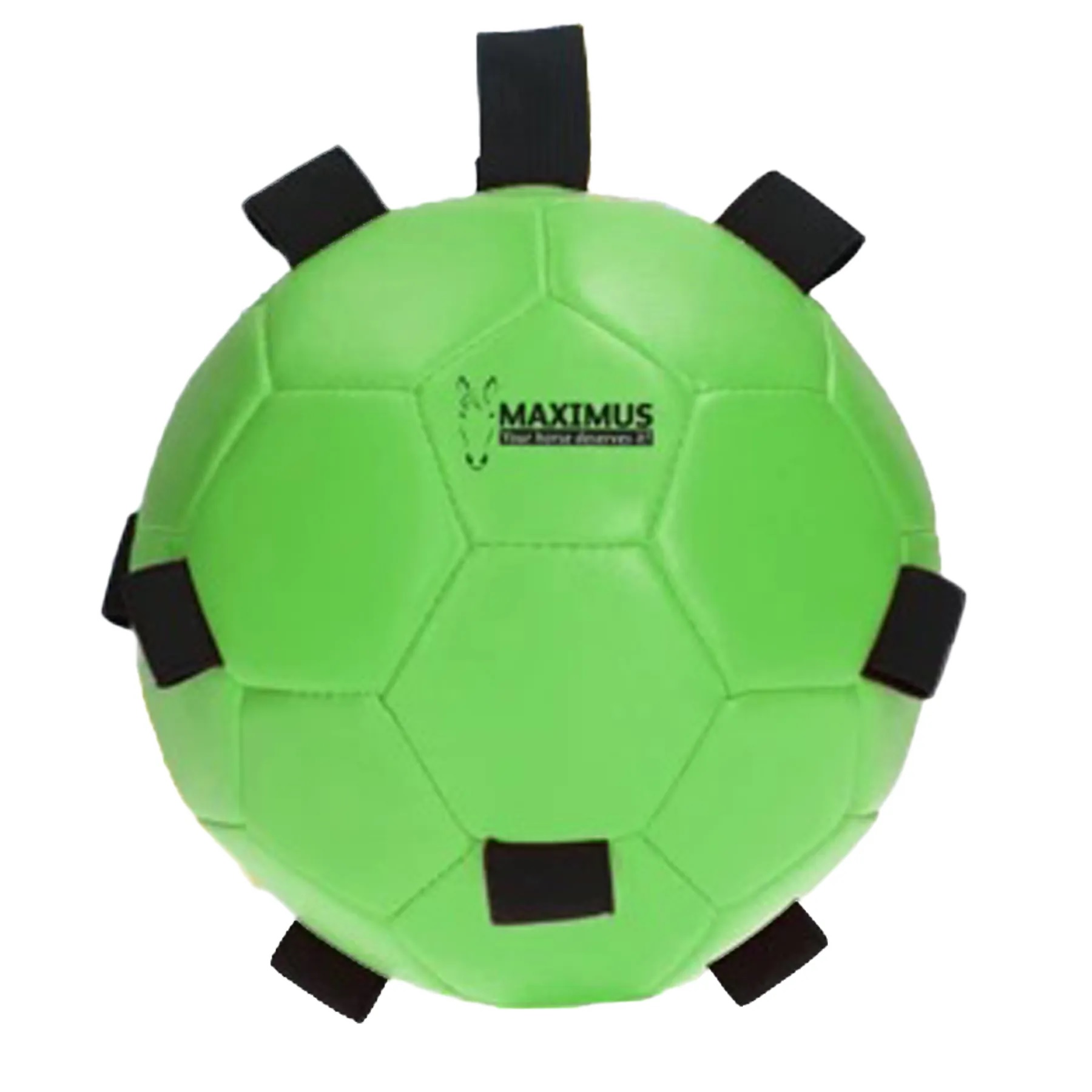 Play Ball Maximus Fun - 3