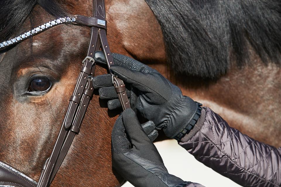 Equipage Lucy ridehansker foret - 2