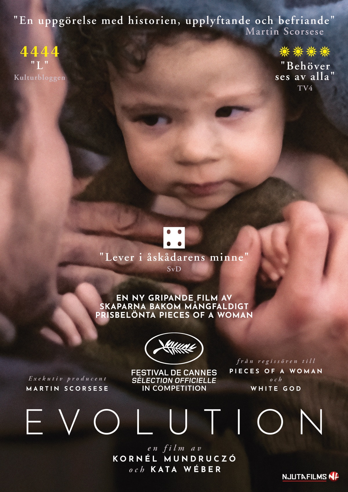 Evolution