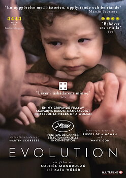 Evolution