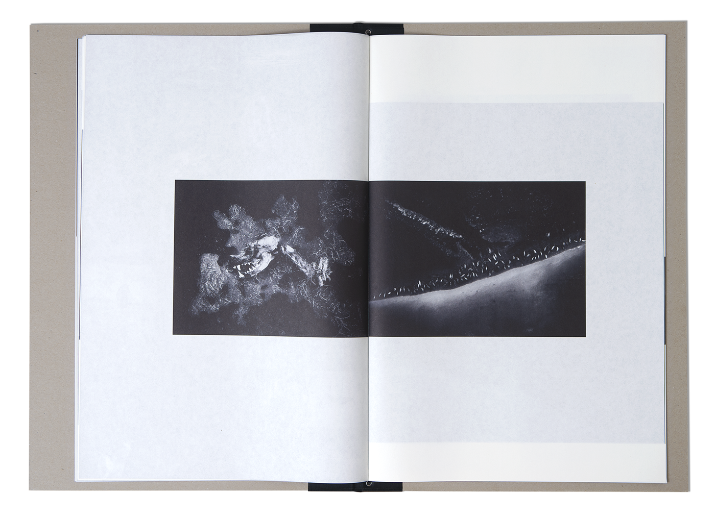 Mats Andersson - Mother Earth - 6